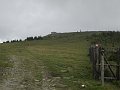 IMG_7811