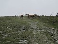 IMG_7812