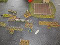 IMG_7995