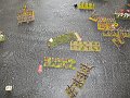 IMG_8001