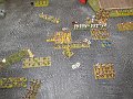IMG_8003