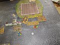 IMG_8006