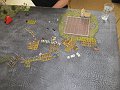 IMG_8010