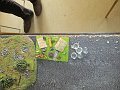 IMG_8015