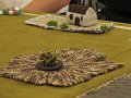 IMG_8175