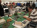 IMG_8249
