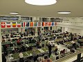 IMG_8251