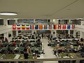 IMG_8252