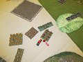 IMG_8220