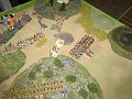 IMG_8262