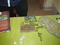 IMG_8528