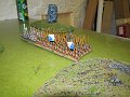IMG_8588