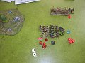 IMG_8778