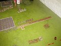 IMG_8917