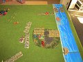 IMG_9116