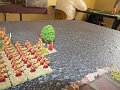 IMG_9245