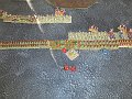 IMG_9259