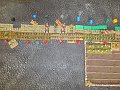 IMG_9261