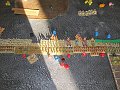 IMG_9263
