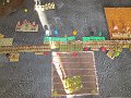 IMG_9270