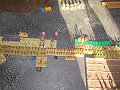 IMG_9275