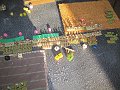 IMG_9281
