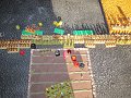 IMG_9292