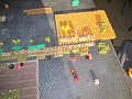 IMG_9293