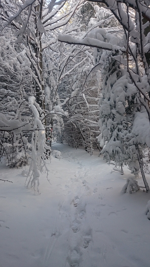 IMG-20150106-WA0017.jpeg - ..und da vorbei...