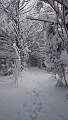 IMG-20150106-WA0017