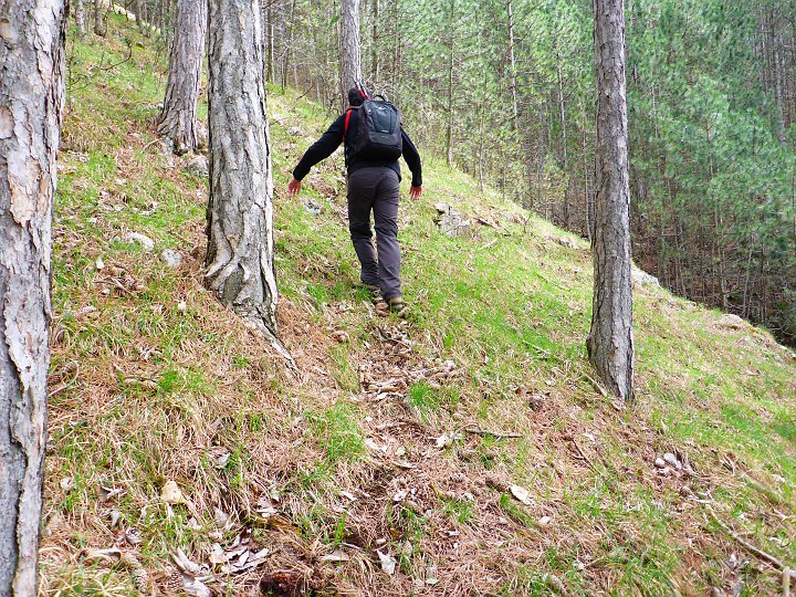P1000532.JPG - Und steil geht es nun weiter...