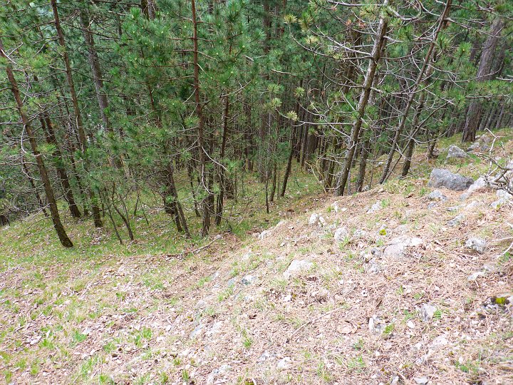 P1000533.JPG - Blick zurück