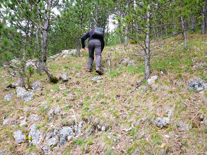 P1000534.JPG - Und nach vor..