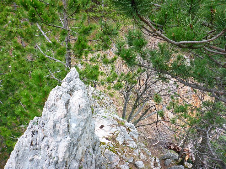 P1000542.JPG - Blick zurück