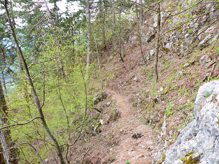 P1000626.JPG - Ab hier wird der Steig nun wieder angenehmer, weil er nicht so steil ist.