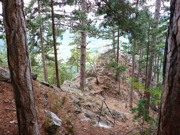 P1000630.JPG - Hier vorne sollte auch etwas versteckt sein.