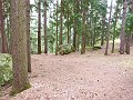 P1000645