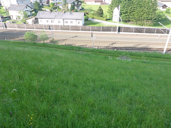 P1010150.JPG - Naja, da noch diretissima runter, weil wir ein paar Meter nach oben auf den Weg nicht hinaufwollen.