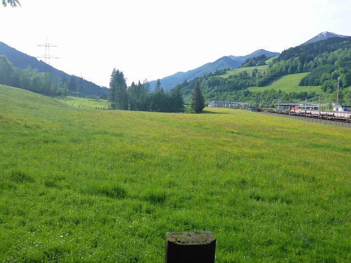 P1010153.JPG - Aber hier ist Ende, die Wiese ist eingezäunt. (elektrisch sogar!)