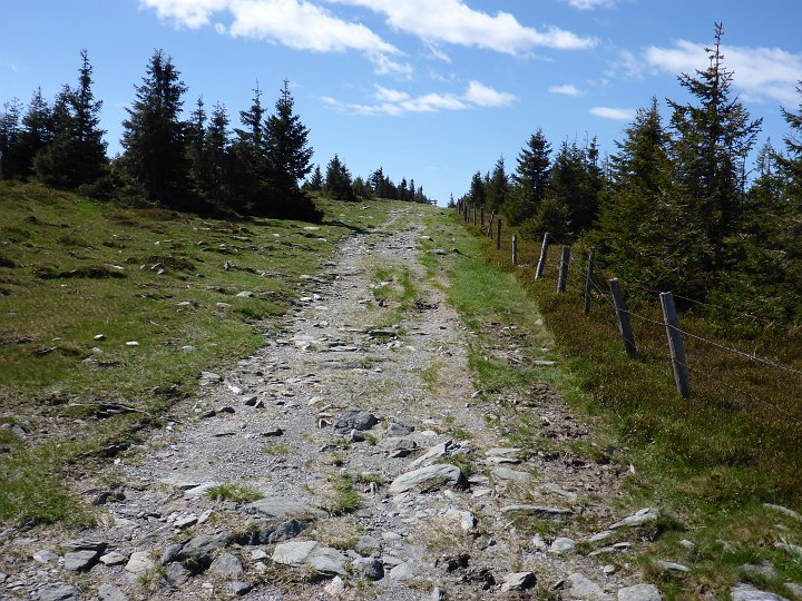 P1010200.JPG - Der Weg ist flach, ich kann konstantes Tempo gehen.Fotografiert wird im Gehen.