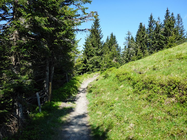 P1010217.JPG - Dann bin ich wieder am "Normalweg"