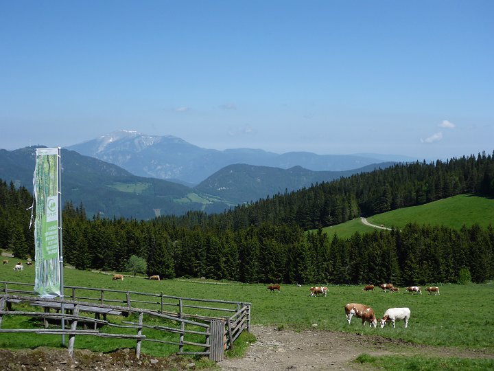 P1010218.JPG - Vorbei an der Kranichberger Schwaig