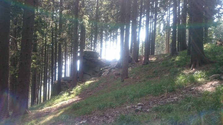 DSC_1143.JPG - Felsen im Wald