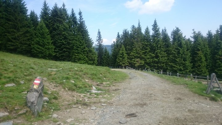 DSC_1152.JPG - Dann kömme ich auf eine blöde Idee. Ich plane rüber zum Schöberl und Umschußriegel zu gehen, und über den Kamm oben zum Hochwechsel
