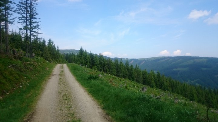 DSC_1153.JPG - Gemütlicher Weg die Loipe entlang