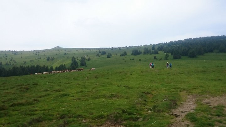 DSC_1159.JPG - Steiler als es aussieht, aber kein Vergleich zum Schindlsteig.