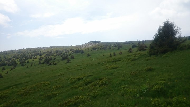 DSC_1162.JPG - Wechselrücken.