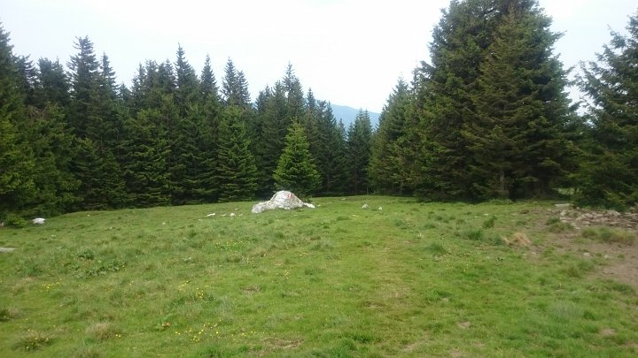 DSC_1176.JPG - Danach geht es wieder weiter den...