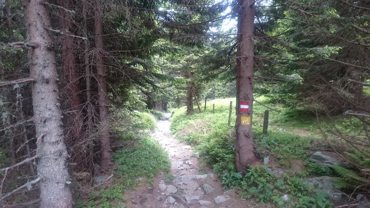 DSC_1177.JPG - .. Schindlsteig..