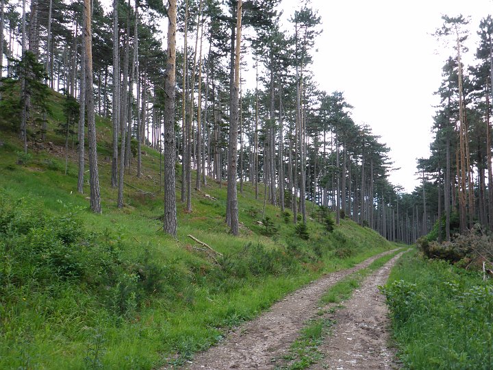 P1010433.JPG - Ein Stück Straße,..